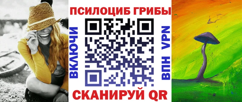 купить  сайты  Шимановск  Галлюциногенные грибы Magic Shrooms 